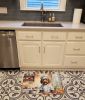 Labradoodle The Chef Memory Foam Kitchen Mat Machine Washable Anti-Fatigue Mat Cushion Comfort Bath Mat or Kitchen Rug