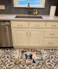 Border Collie The Chef Memory Foam Kitchen Mat Machine Washable Anti-Fatigue Mat Cushion Comfort Bath Mat or Kitchen Rug
